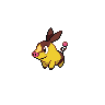 Shiny Tepig
